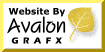 Custom Web Design & Hosting
