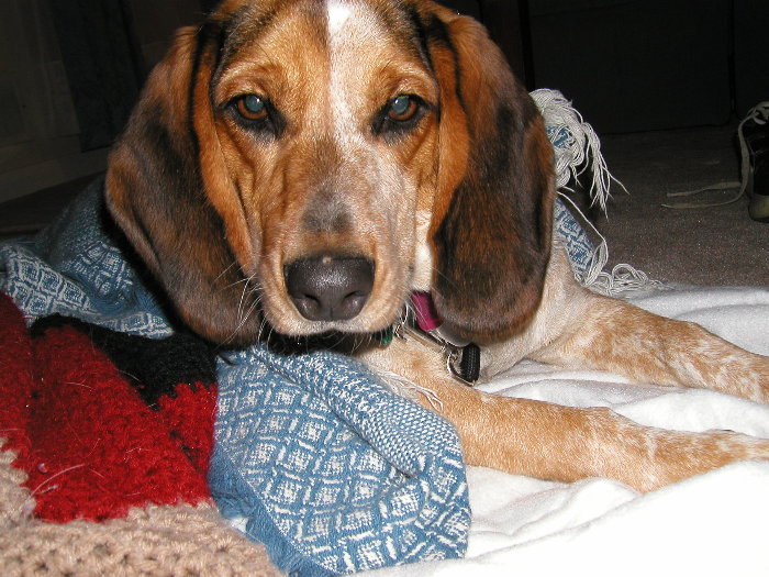 All tucked In
