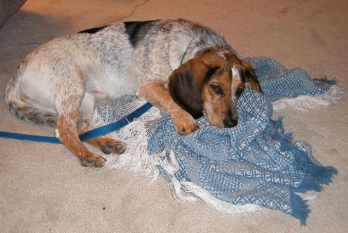 Sacked out