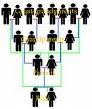 Picture of family tree
