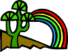 Picture of cactus and rainbow