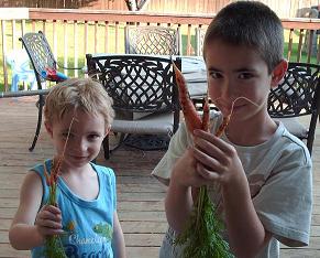 Boys with carrots