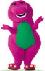 Picture of Barney