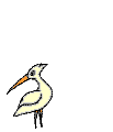 Picture of Bird with worm