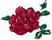 Picture of a Rose