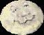 Picture of the moon
