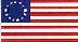 Cat with US Flag