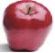 Picture of an Apple