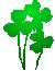 Shamrocks