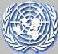 United Nations Logo