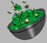Picture of a Salad