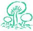 Picture of Mushrooms
