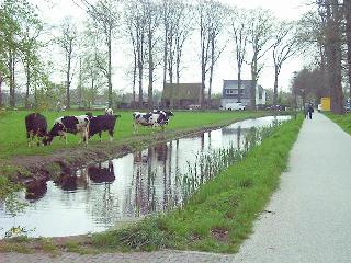 Along a narrow canal near Loosdrecht