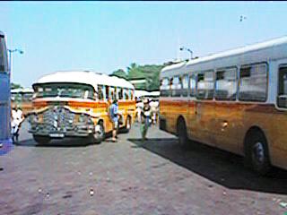 late 1950's vintage buses