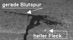 Detail des Blutflecks