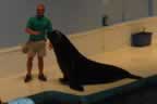 Aquriam06.jpg (13,104 bytes)