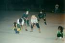 Andina representaci�n