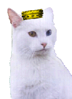Sir Wally