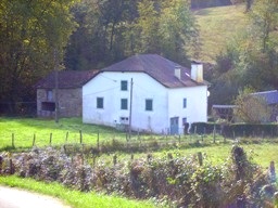 Home Page Image