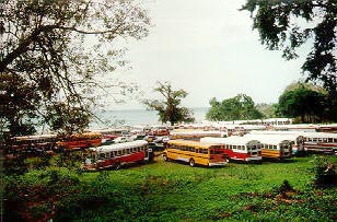 buses.jpg (86740 bytes)