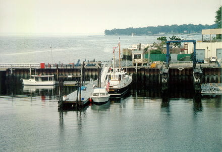 m.jpg (57865 bytes)