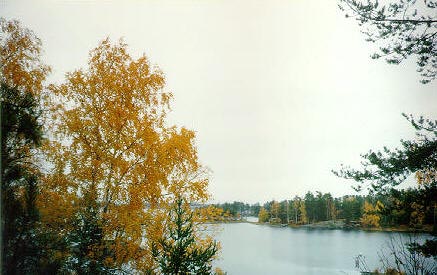 slinna3.jpg (116524 bytes)