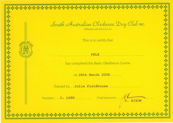 bo_certificate.jpg