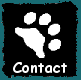 Contact Information