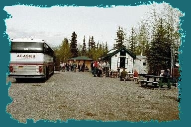 Tour Buses