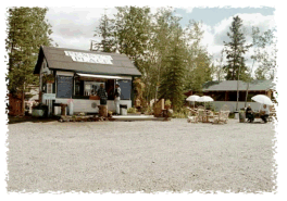 Penny's Place