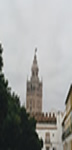 A view of the Mosque tower raising above its surroundings.