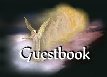 Sign Our Guestbook!