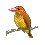 bird 3