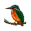 bird 2