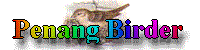 Penang Birder banner