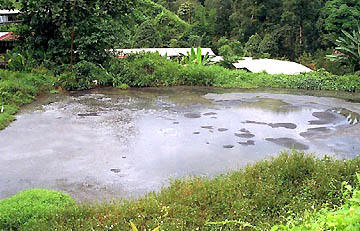 air takungan dari ladang ternakan