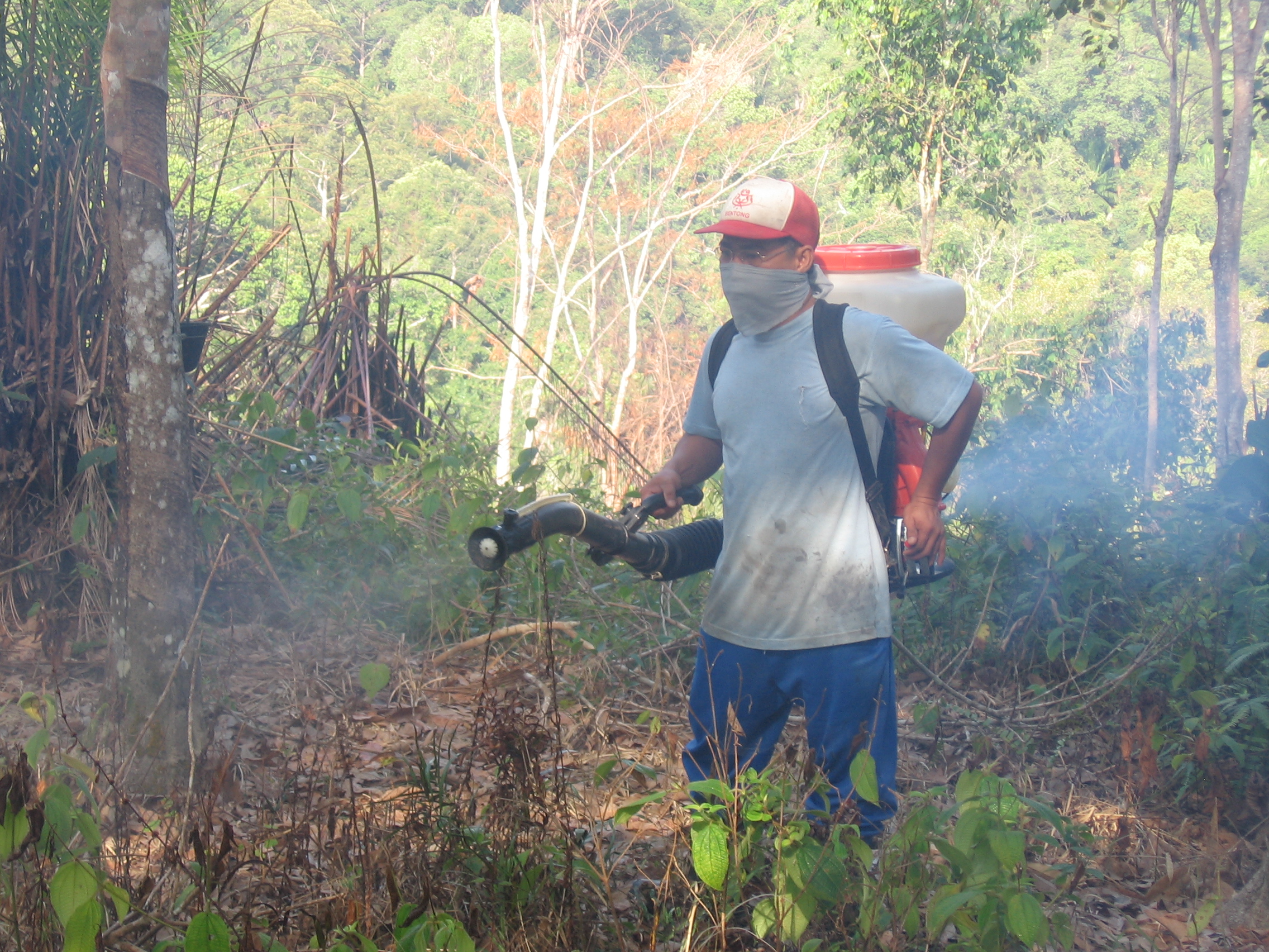 penyemburan racun perosak