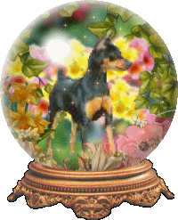 snowglobe