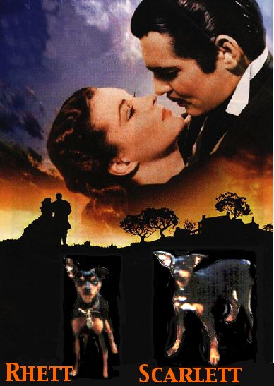 gone with the wind