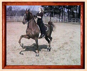 Training in the ring, a little closer