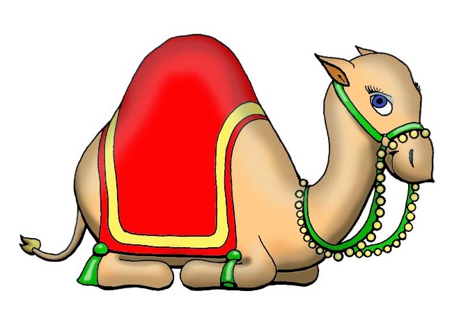 Al Azhar camel