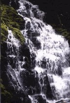 WhiteBranch Falls