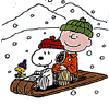 Snoopy in the snow