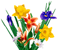 Spring Flowers