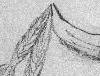 Horned skull decorated with feathers.