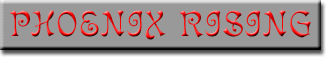 Chapter 3: Phoenix Rising
