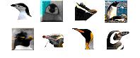 Penguin icons