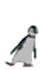 A lone dancer