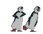 Some more dancing penguins
