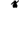 Small penguin comes charging in
